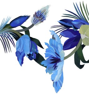 Immagine sconosciuta
